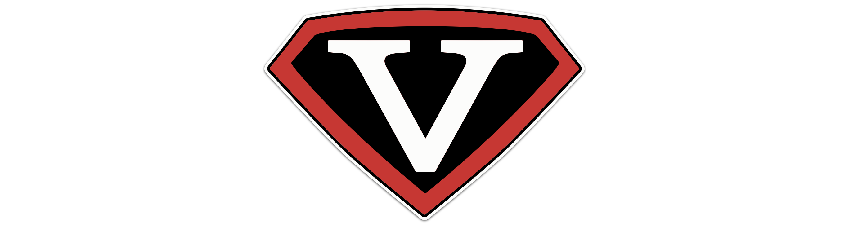 Team Vision Worldwide Logo