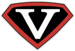 Team Vision Worldwide Logo