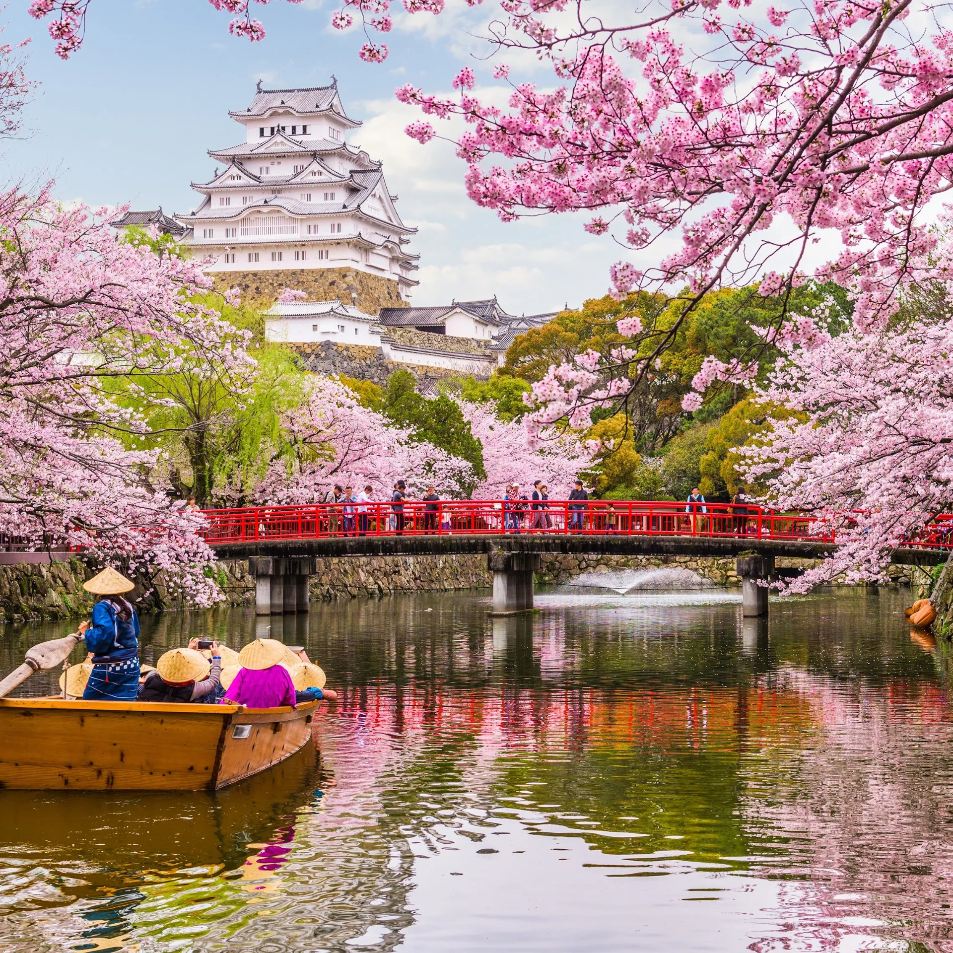 Tokyo, Japan - Cherry Blossom Season